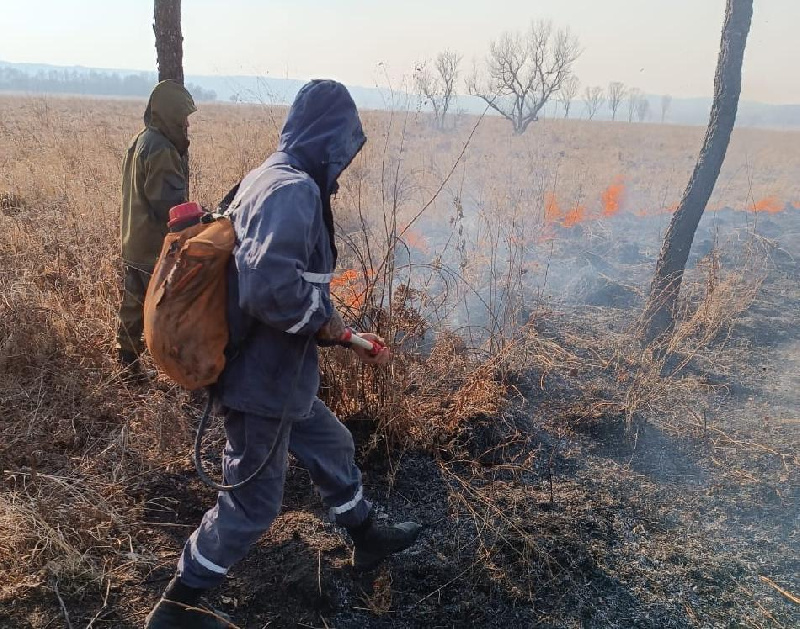 «Идиоты»: глава Свободненского района нелестно отозвалась о поджигателях сухой травы