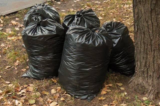 Олег Имамеев призвал не убирать опавшие листья в Благовещенске