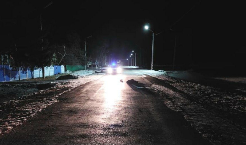 Ночью в Тамбовском районе водитель насмерть сбил пешехода