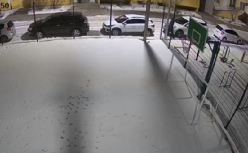 В Благовещенске в подъезде дома на девушку напал неизвестный мужчина