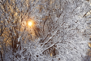 В Благовещенске солнечно: прогноз погоды на 12 января - 2x2.su