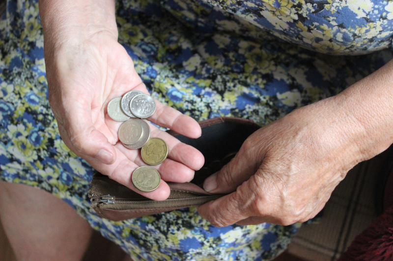 Почему в Приамурье при оформлении пособий на детей считают доход бабушек и дедушек?