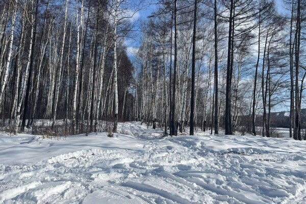 Последняя ночь января в Благовещенске стала самой холодной за всю зиму