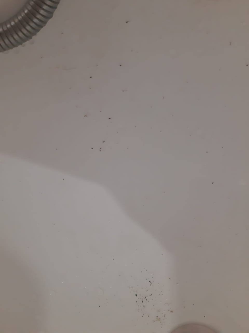 В Благовещенске очисткой водопроводной воды в микрорайоне от масляных капель займётся управляйка - 2x2.su картинка 2