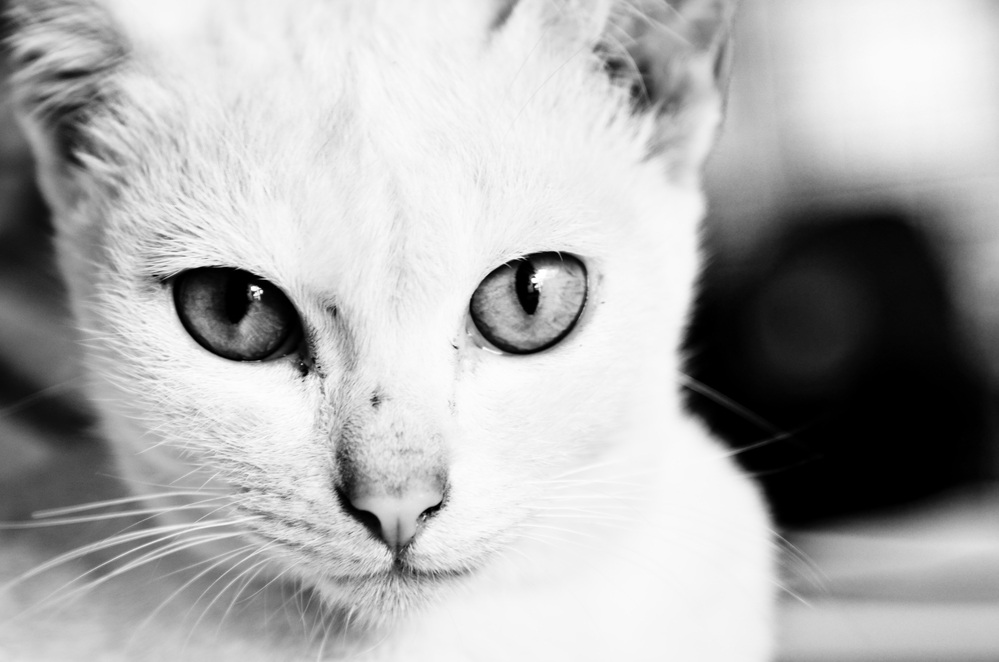 Гороскоп на 17 сентября: Козероги найдут изъян, а Девы собираются всем угодить - 2x2.su