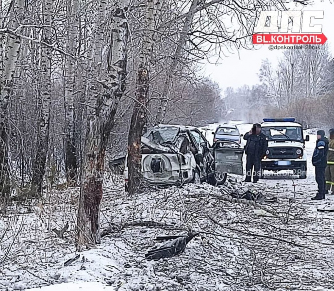 13 февраль 2019. Райчихинск происшествия последние.