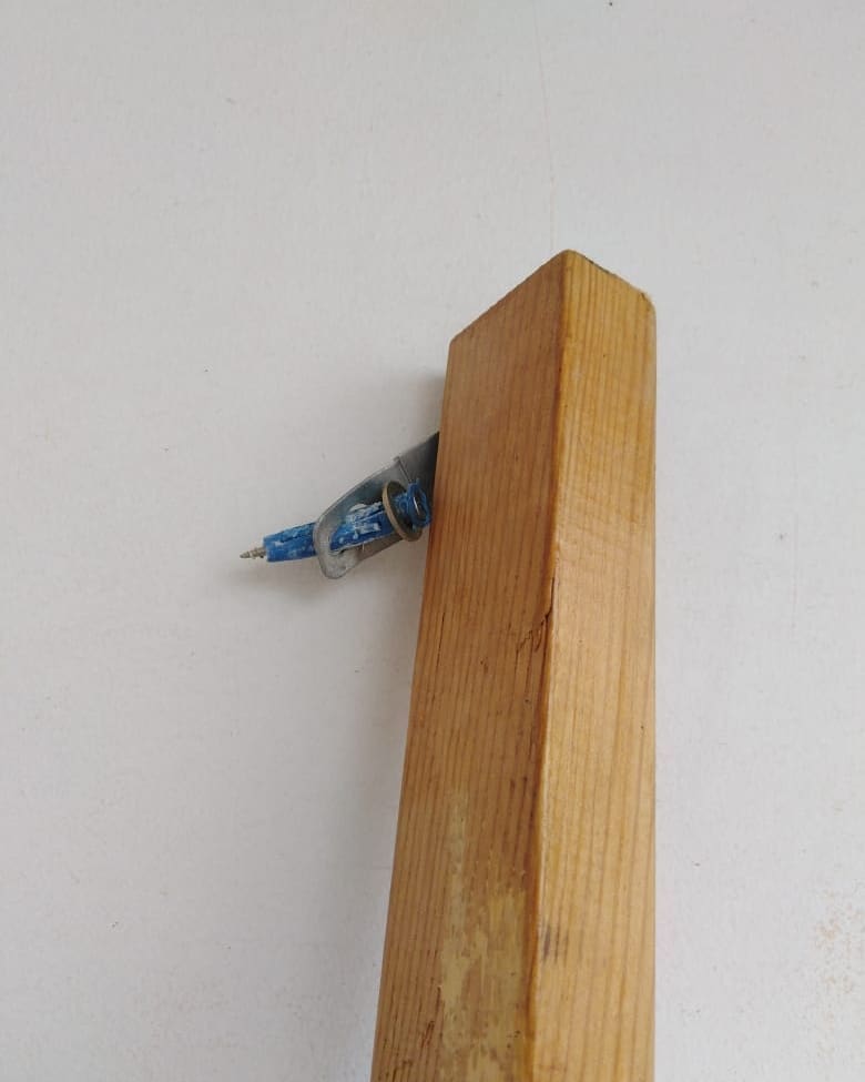 В парке Дружбы вандалы сорвали злость на цветах - 2x2.su картинка 2