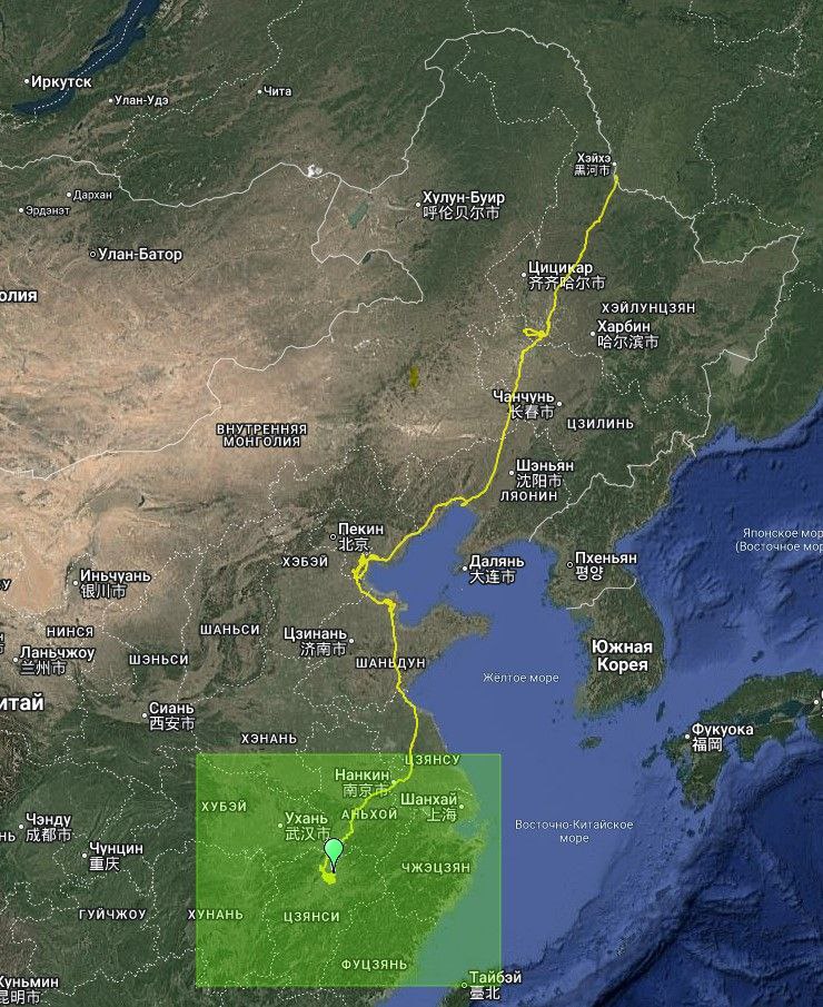 Китайские орнитологи нашли аиста, окольцованного в Приамурье в 2019 году - 2x2.su картинка 2