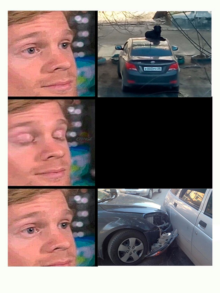 «С нами Черныш»: в Свободном появилась живая достопримечательность  - 2x2.su картинка 5