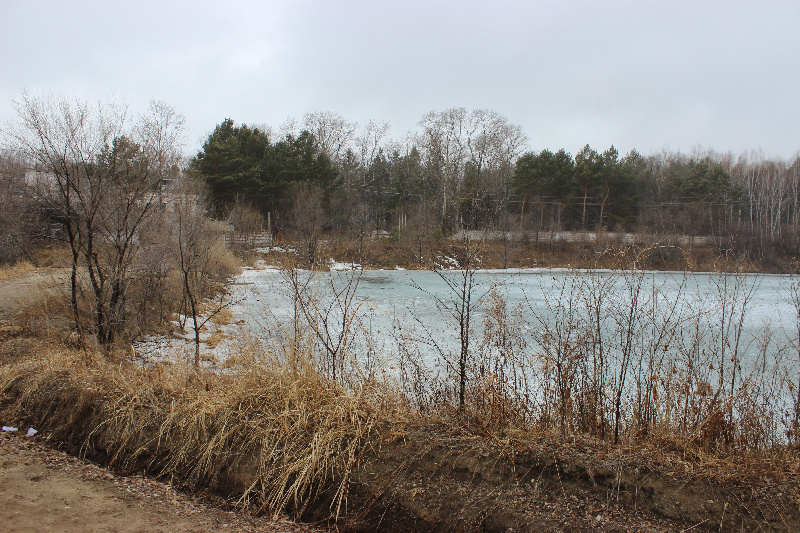 Жители Моховой Пади жалуются на отсутствие благоустройства и бездомных собак - 2x2.su
