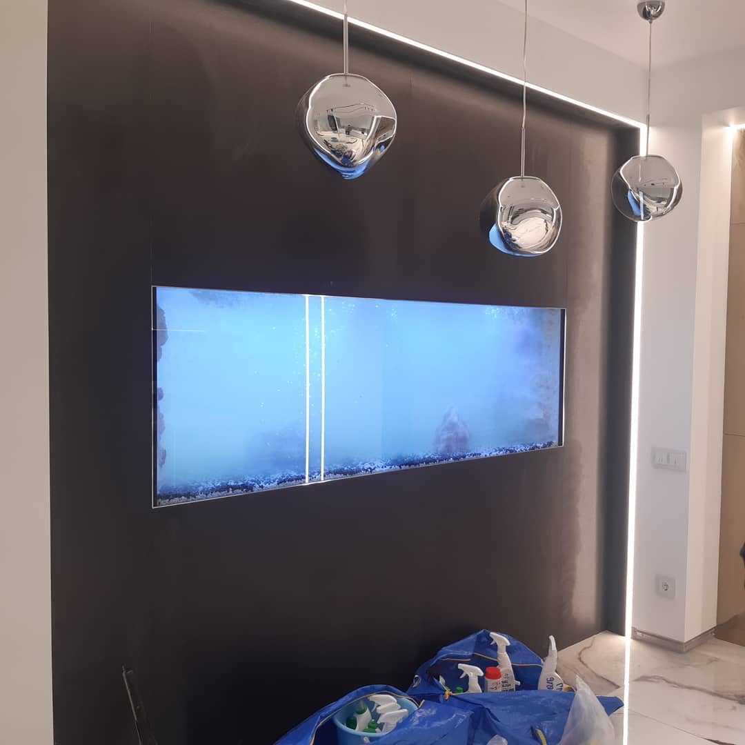 Груминг, магазины, дрессировка: где найти всё для вашего питомца? - 2x2.su картинка 6