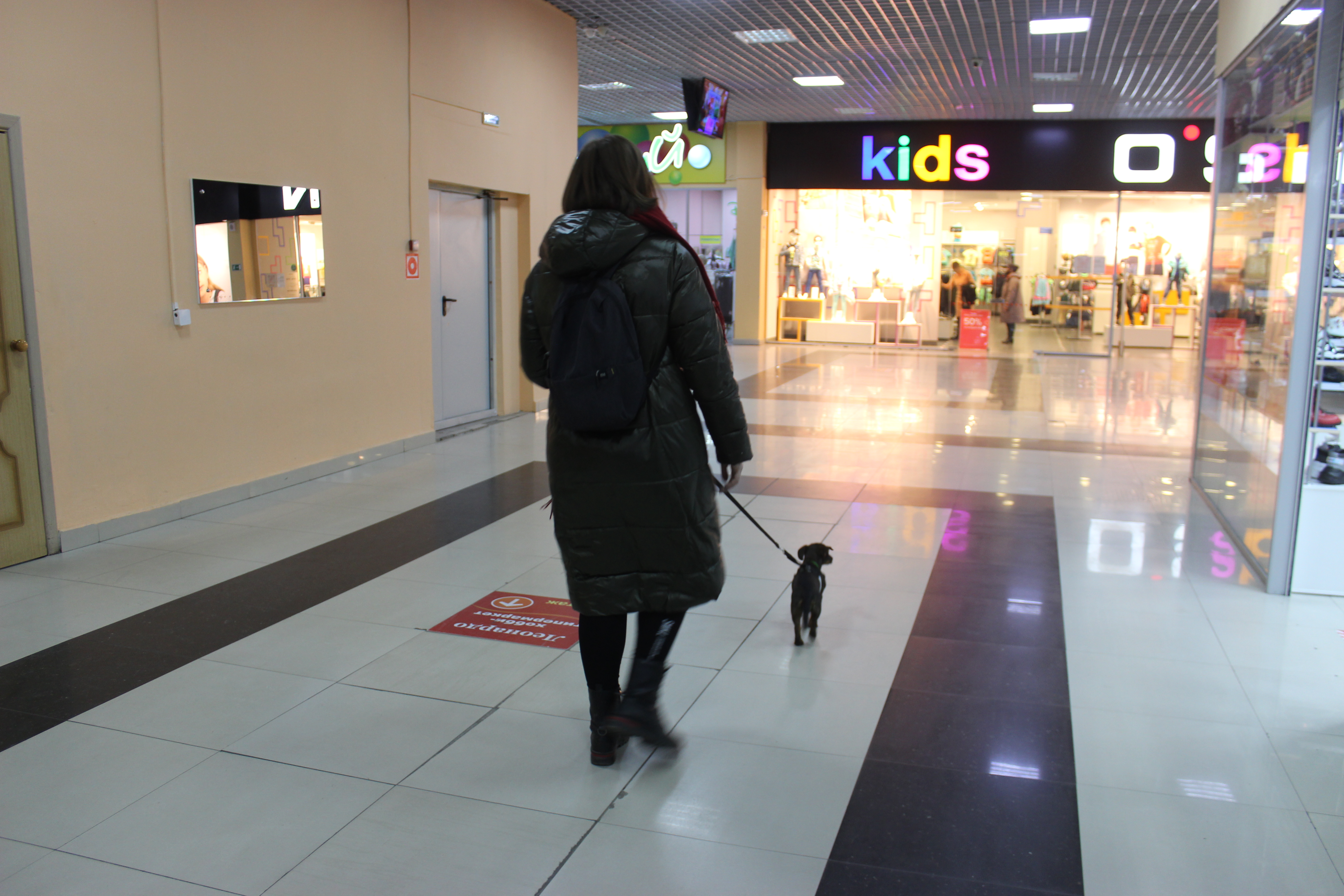 «Вход воспрещён»: куда в Благовещенске можно с собаками?  - 2x2.su картинка 5