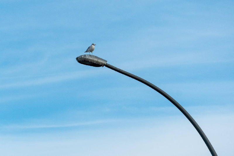 В Благовещенске на участке улицы Мухина модернизируют освещение - 2x2.su