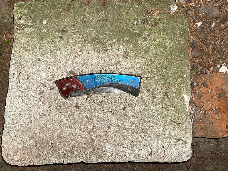 Амурчанину, который зарезал пассажира автобуса, дали 8 лет