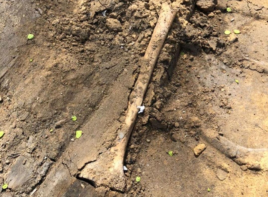 В Благовещенске с кладбища вывозят гаражи вместе с человеческими костями