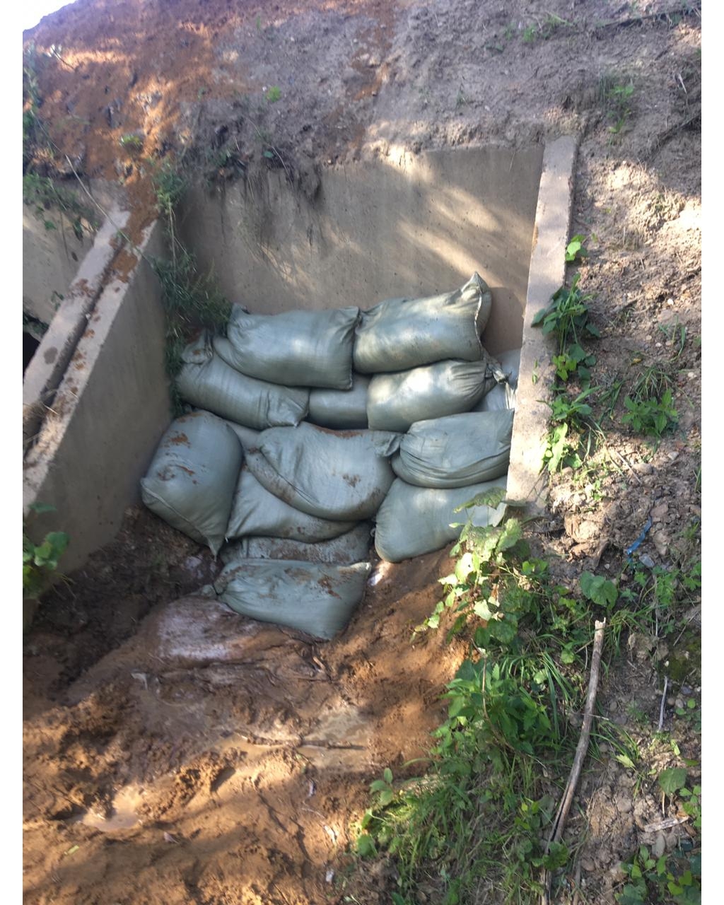  22 см за 12 часов: уровень Амура продолжает подниматься - 2x2.su картинка 8