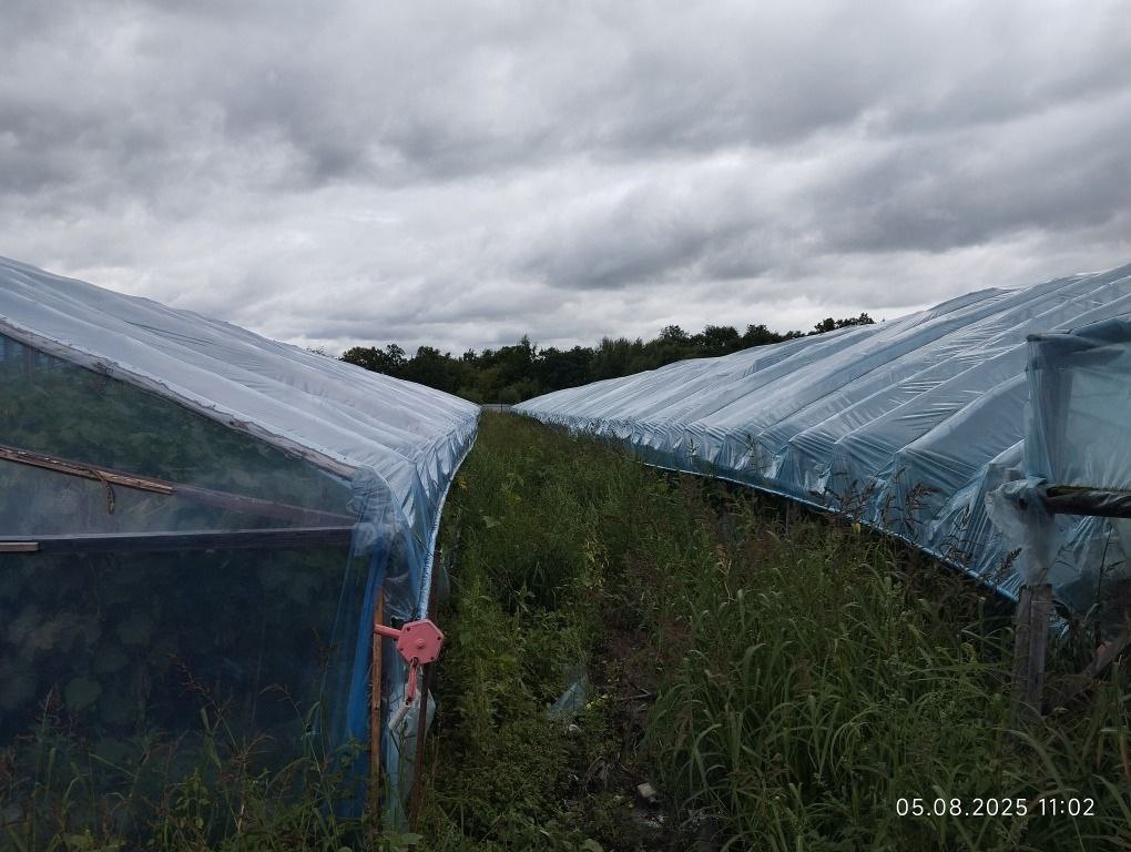 В Новопетровке проверили мигрантов, которые работают на полях - 2x2.su картинка 4