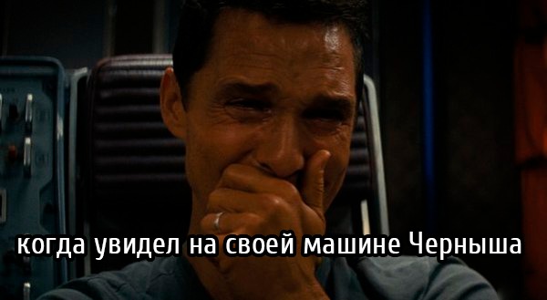 «С нами Черныш»: в Свободном появилась живая достопримечательность  - 2x2.su картинка 12