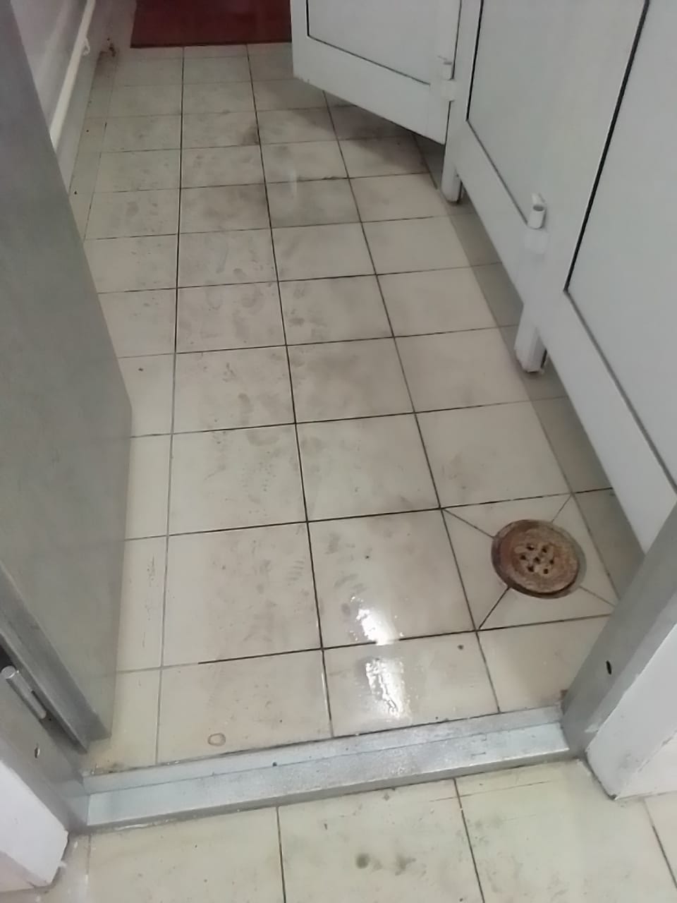 Жители Благовещенска сняли на видео грязь и мокрый пол в общественном туалете на набережной - 2x2.su картинка 2