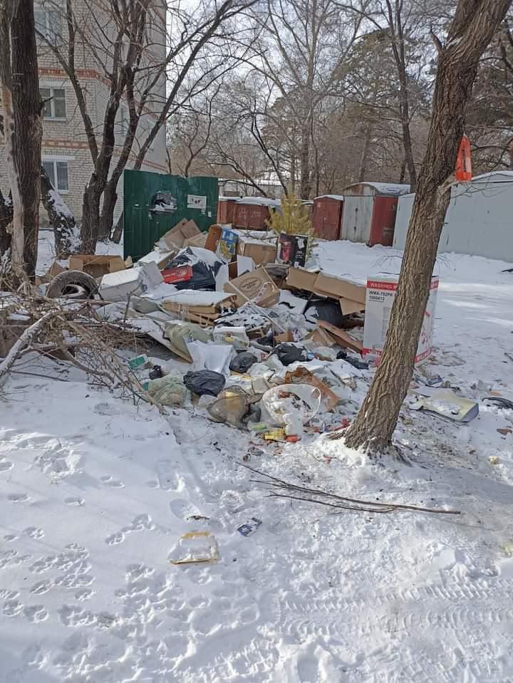 Жители Белогорска жалуются на неубранную контейнерную зону  - 2x2.su картинка 2