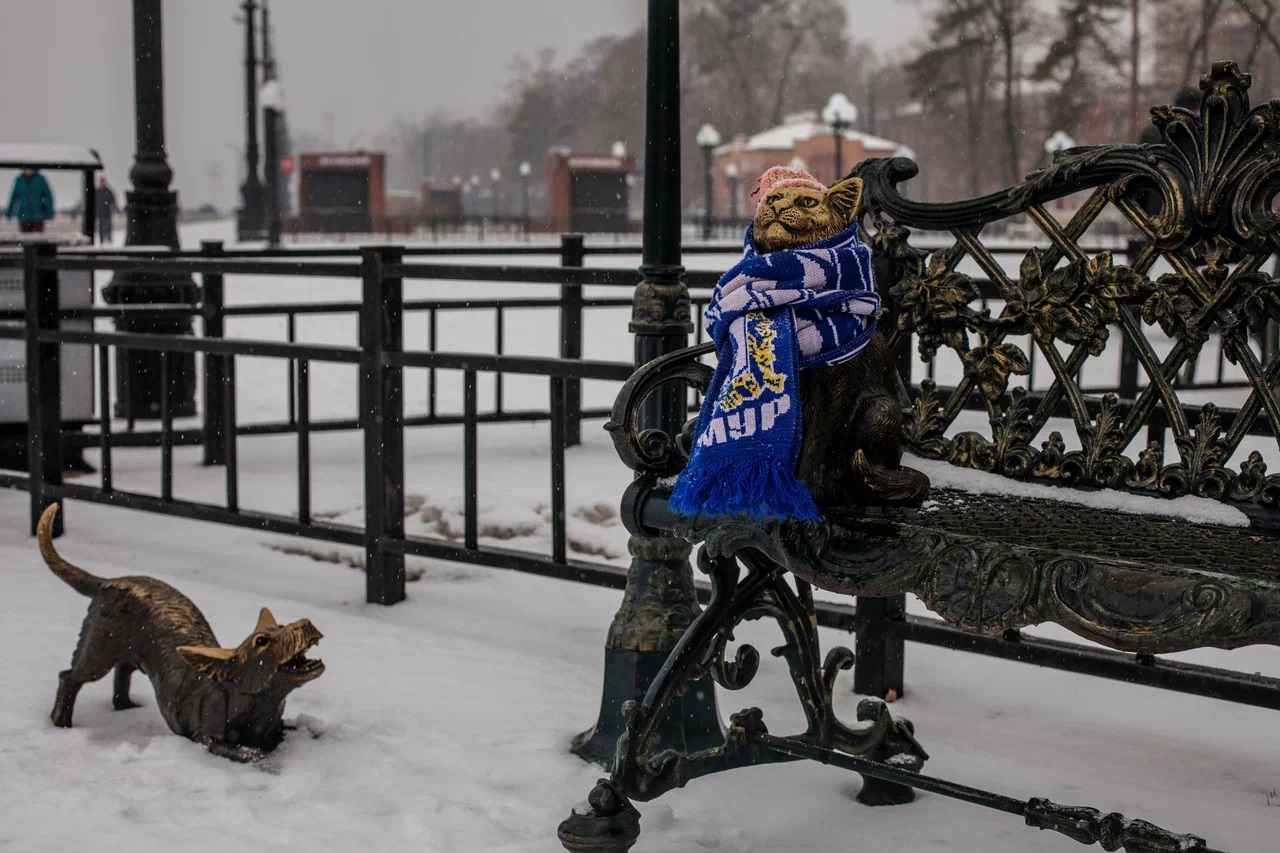 Снежный ноябрь в Благовещенске: фотогалерея портала 2х2.su - 2x2.su картинка 7