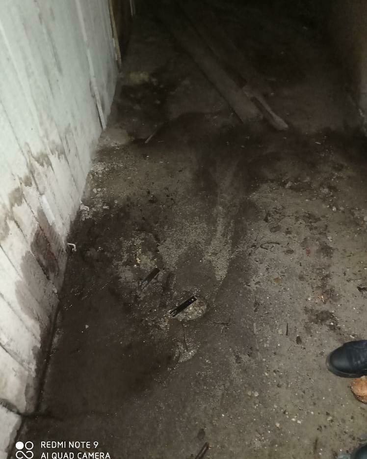 «Дома нечем дышать»: жители Аэропорта жалуются на затопленный нечистотами подвал - 2x2.su картинка 2
