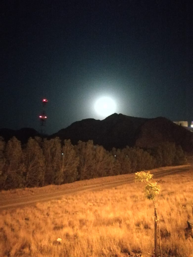 С головой – в экзотику: благовещенка рассказала об отпуске в Арабских Эмиратах  - 2x2.su картинка 19