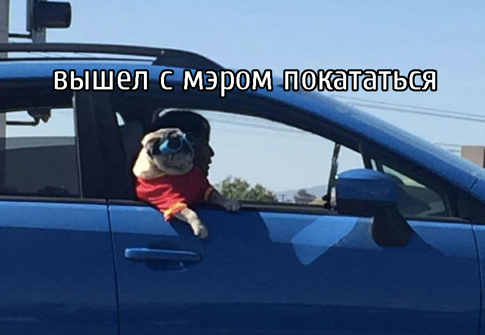 Поездка с мэром и «следы» любви: новая порция мемов от редакции портала 2x2.su