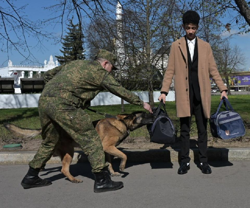 собака пограничник