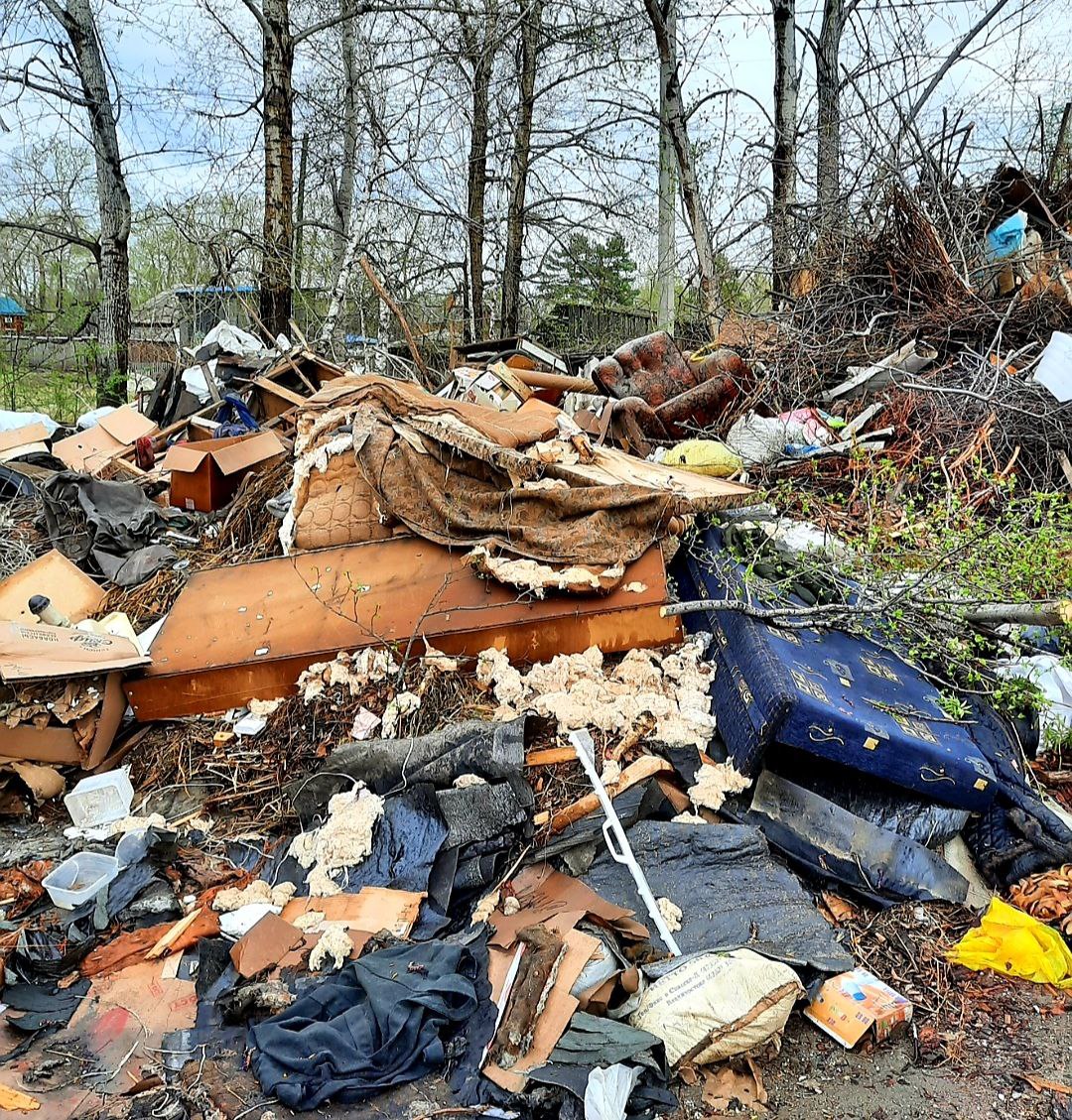 «Пахнет эпидемией»: жители Зеи требуют ввести режим ЧС из-за мусора в городе  - 2x2.su картинка 5