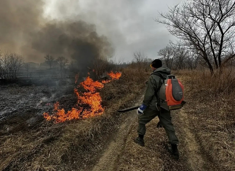 В Благовещенске с начала апреля оперативно ликвидировали 15 палов - 2x2.su