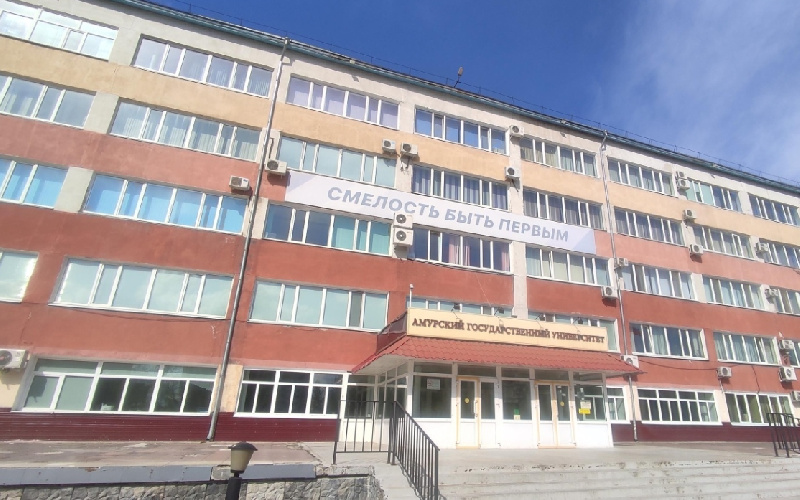 «Считают кампус своим домом»: бездомные собаки пугают студентов и преподавателей АмГУ - 2x2.su