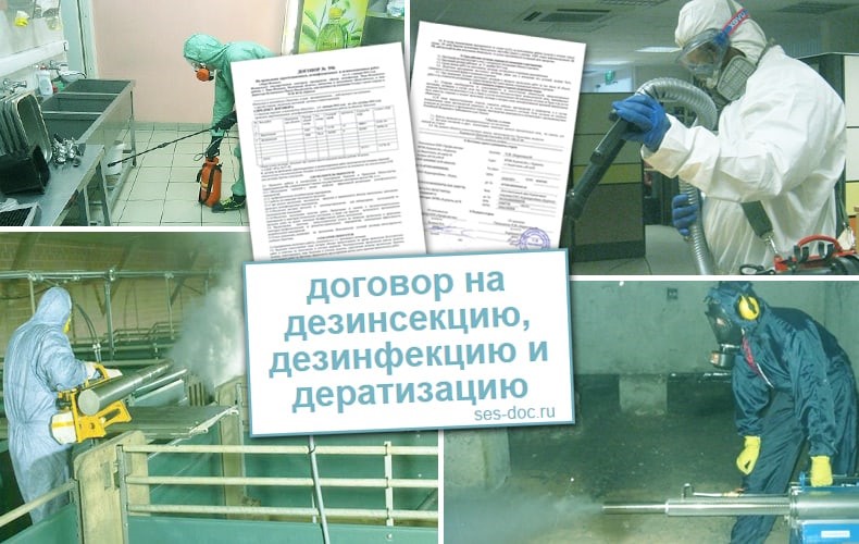 Как амурчанам справиться с грызунами, тараканами и неприятными запахами дома и в офисе - 2x2.su картинка 4