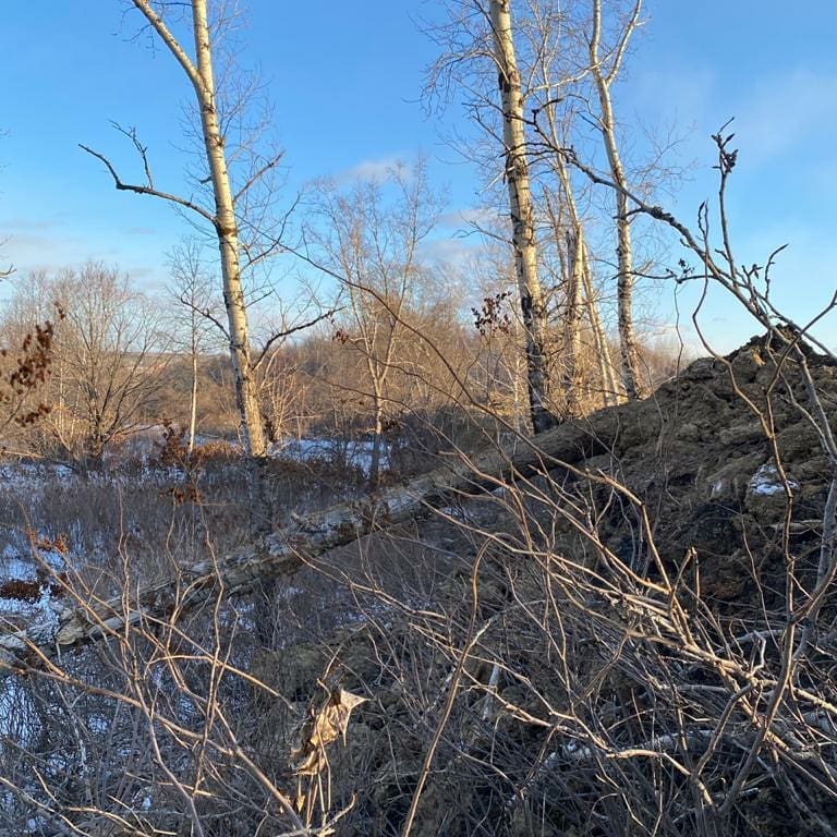 Жители Райчихинска жалуются на незаконную добычу угля - 2x2.su картинка 2