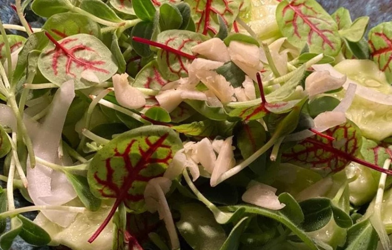 Оригинальный вкус и заряд витаминов: чем полезна микрозелень? - 2x2.su