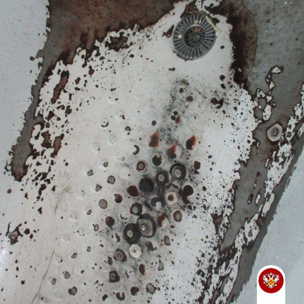 В Благовещенске 13 человек отравились едой из кулинарного цеха - 2x2.su картинка 6