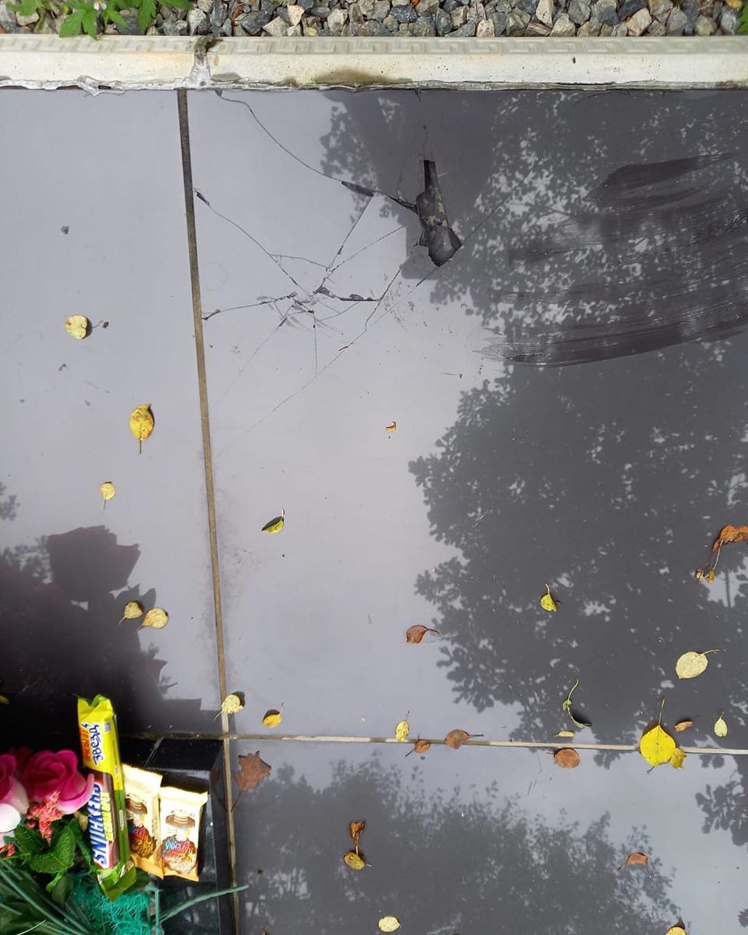 В Приамурье малолетние вандалы разгромили кладбище - 2x2.su картинка 9