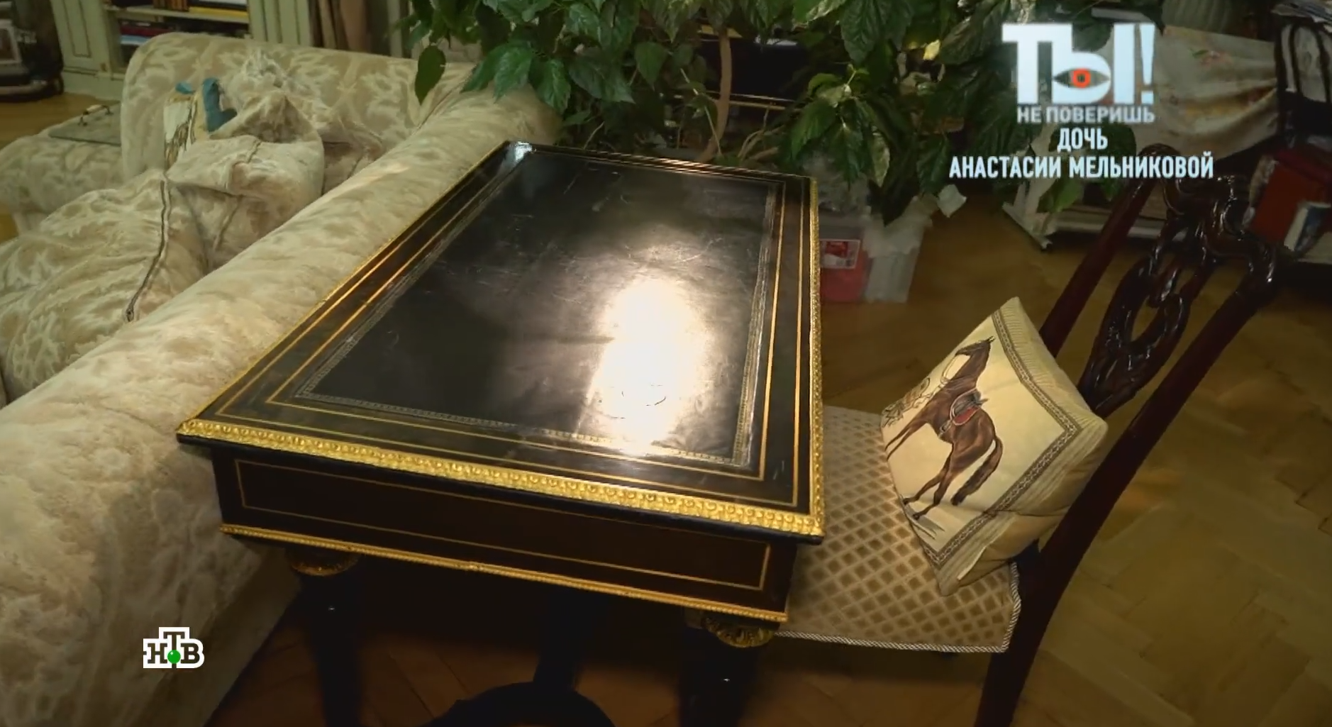 Звезда сериала «Улицы разбитых фонарей» Анастасия Мельникова показала свою огромную квартиру - 2x2.su картинка 4