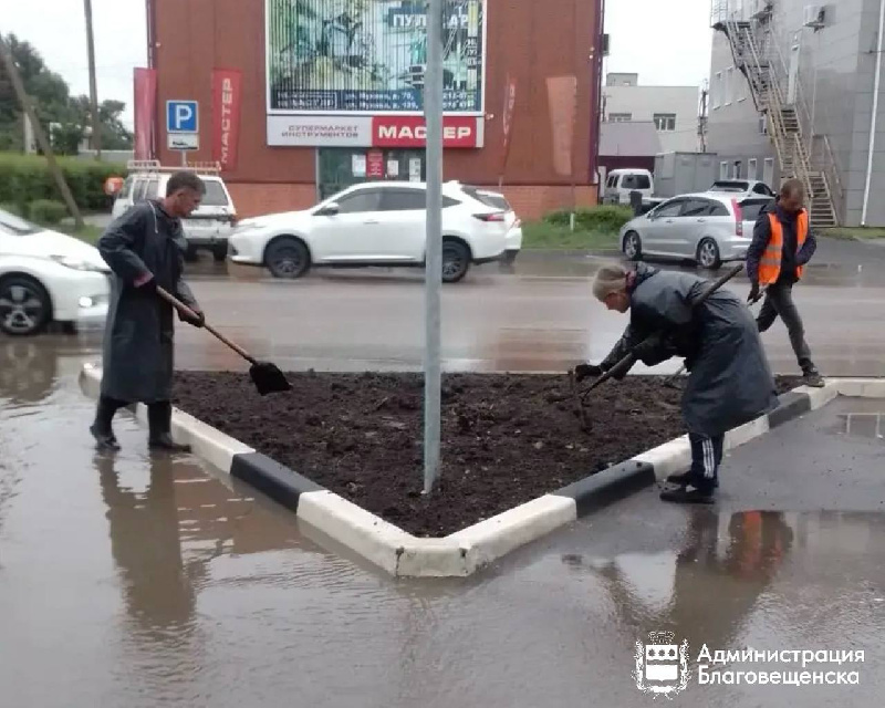 Более 16 тысяч квадратных метров газонов обновили в Благовещенске с начала сезона