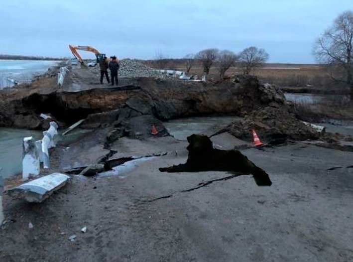 «С нами Черныш»: в Свободном появилась живая достопримечательность  - 2x2.su картинка 8