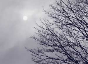 Облачно, но без снега: погода в Благовещенске 14 января - 2x2.su