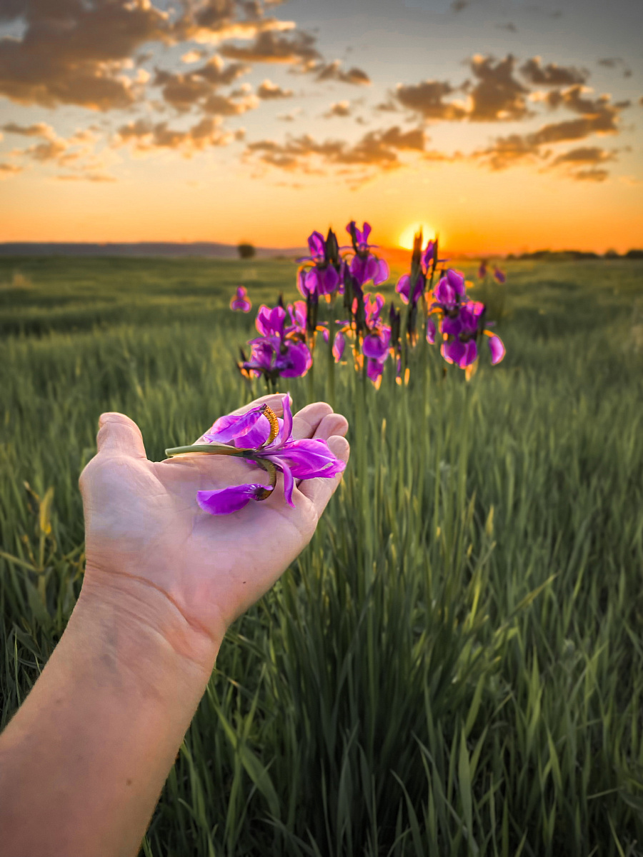 Названы победители фотоконкурса «Лето» на портале 2х2.su  - 2x2.su картинка 2