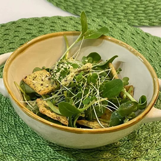 Оригинальный вкус и заряд витаминов: чем полезна микрозелень? - 2x2.su картинка 2