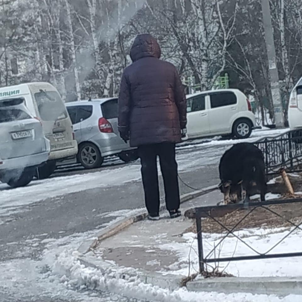«Не в том месте»: в Благовещенске на набережной «ловили» собачников - 2x2.su картинка 4