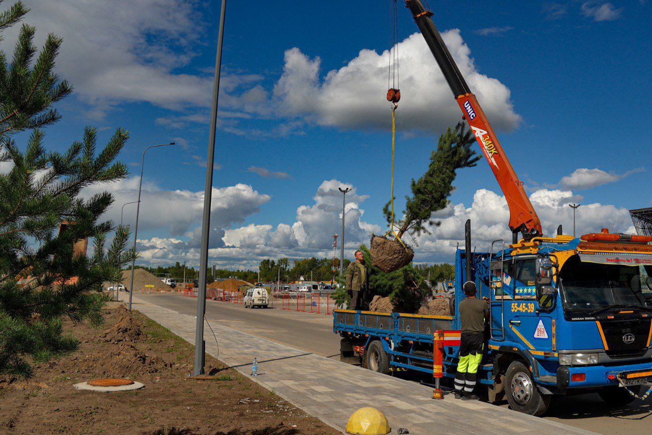 В аэропорту Благовещенска высадят около 200 деревьев - 2x2.su картинка 5