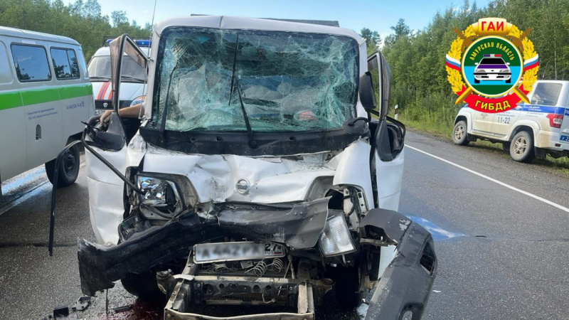 В Магдагачинском районе водитель Nissan Vanette погиб в ДТП с грузовиком - 2x2.su