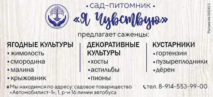 Лунный посевной календарь на 2022 год: советы дачникам - 2x2.su картинка 3