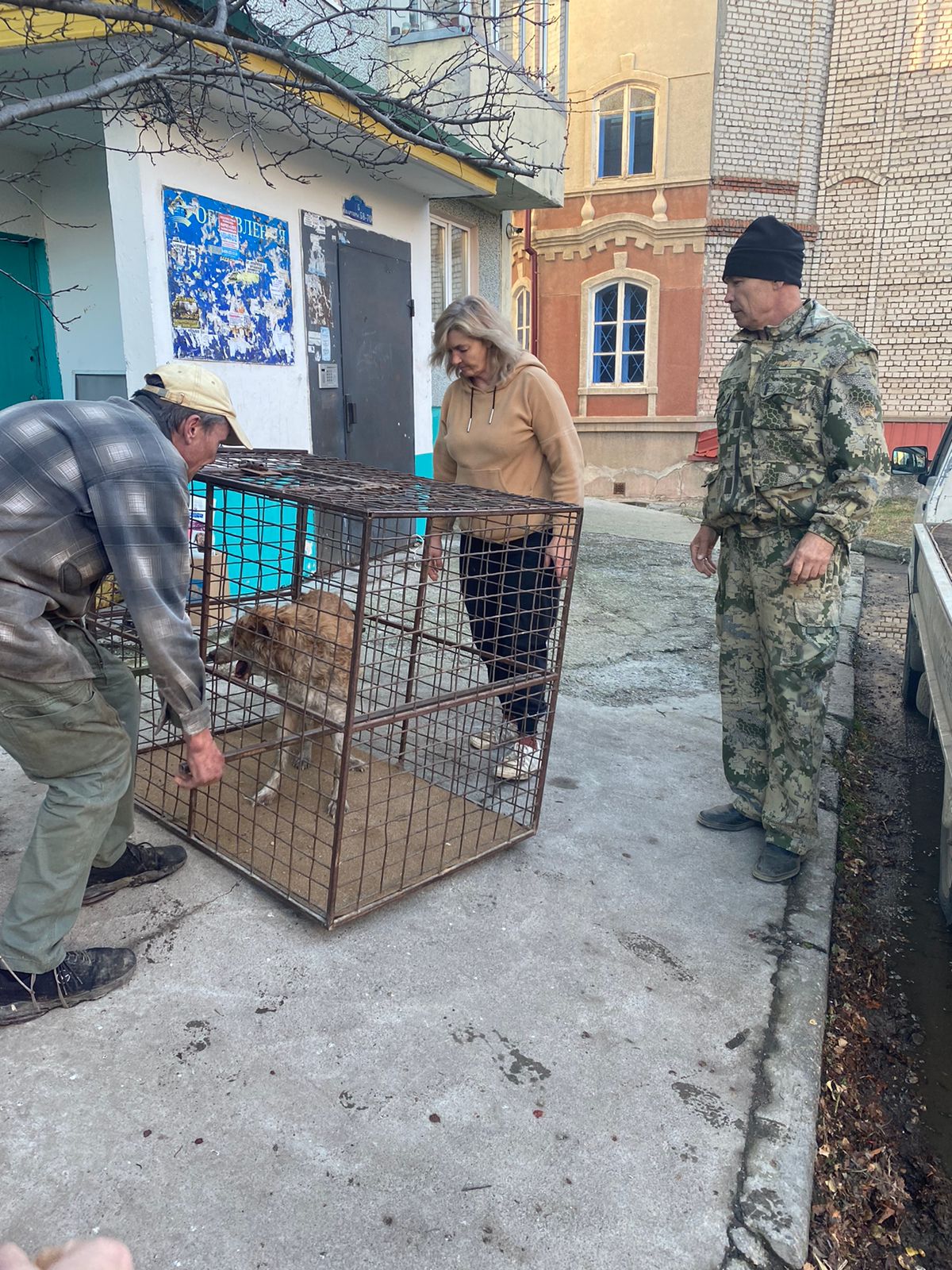 Спасённые при пожаре в Благовещенске кот и собака чуть не остались на улице - 2x2.su картинка 2