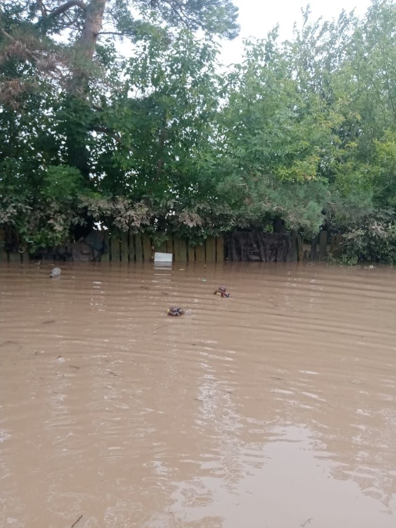 В сёлах Белогорского района вода зашла в дома и на приусадебные участки  - 2x2.su картинка 10