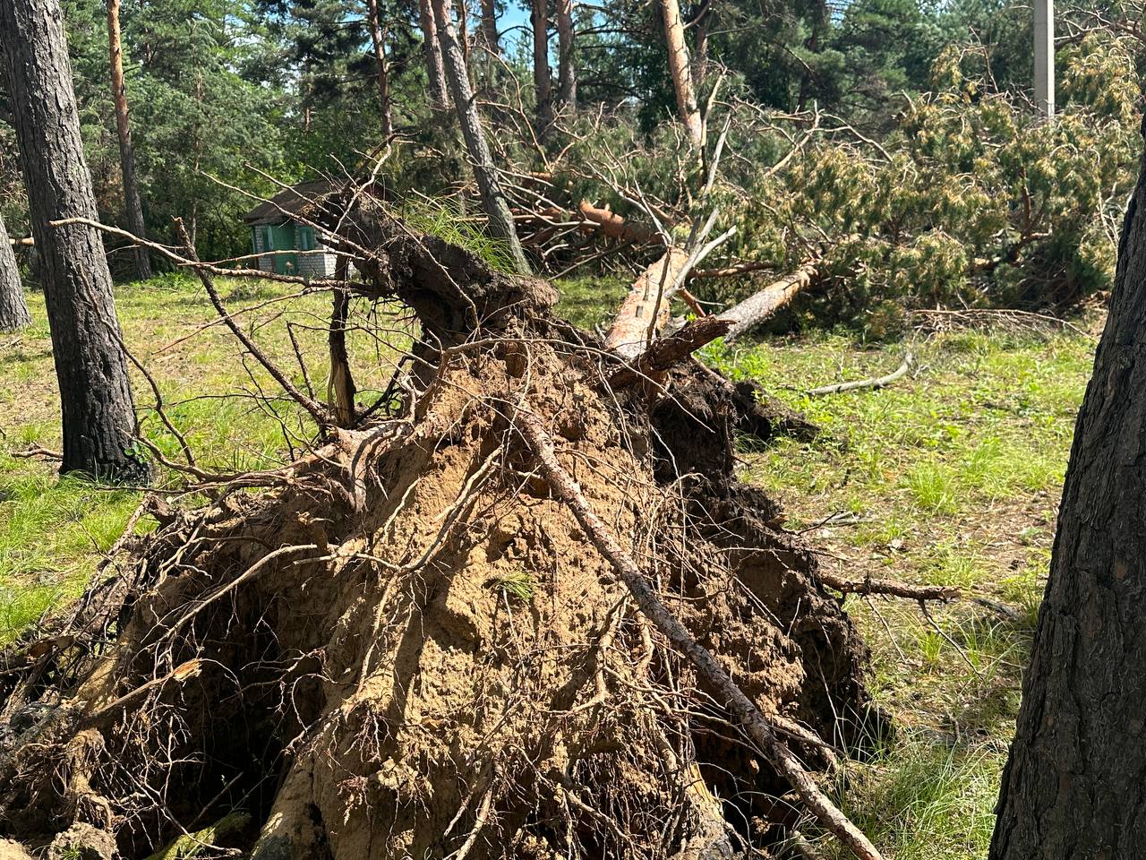 «Какое счастье, что закрыли»: мэр Белогорска показал разрушения от урагана в детском лагере  - 2x2.su картинка 3
